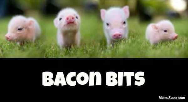 Bacon Bits!
