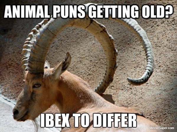 Friday Memes: Ibex to differ