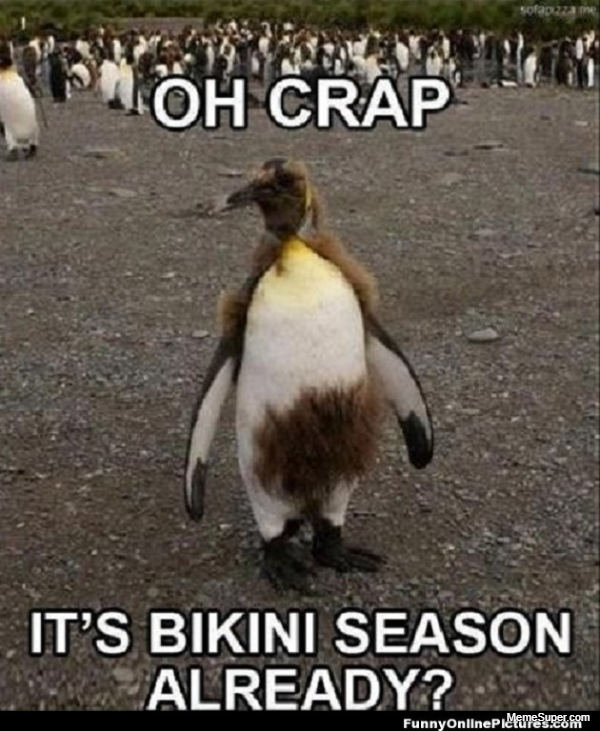 Friday Memes: It's bikini season already!