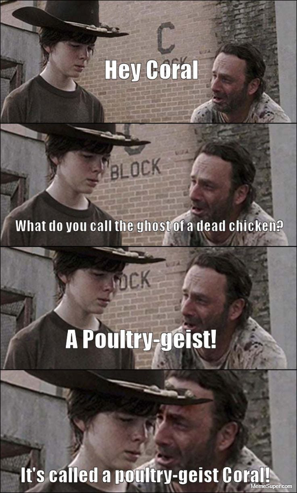 Friday Memes: Poultry-geist Coral