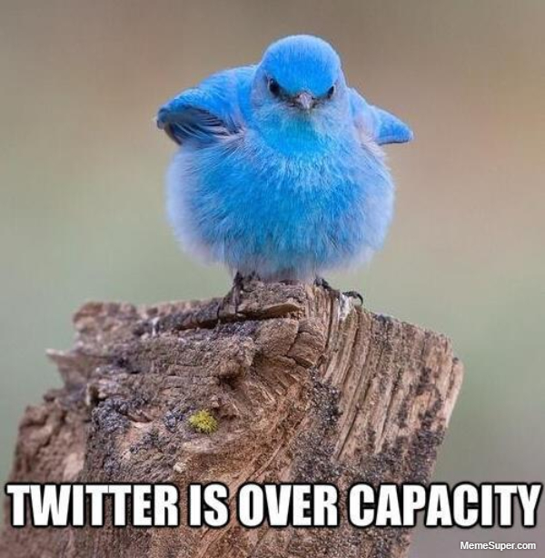 Twitter is overloaded